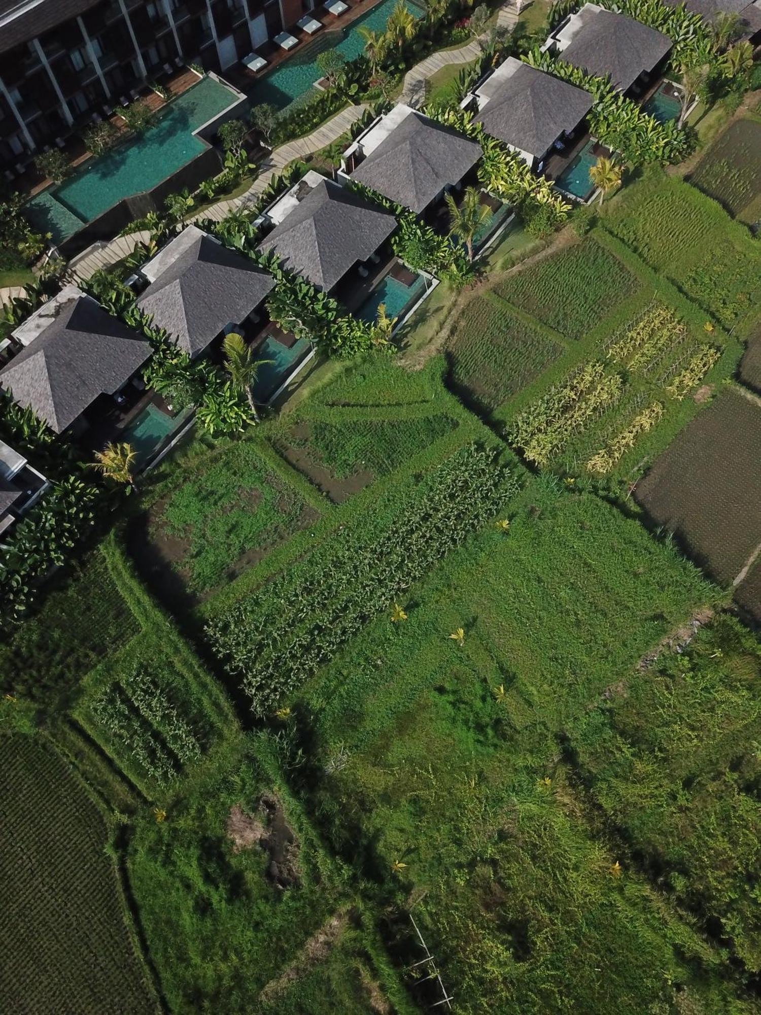 The Garcia & Station touristique Ubud